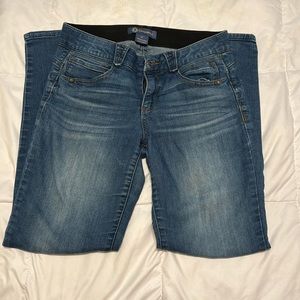 Democracy “Ab”solution